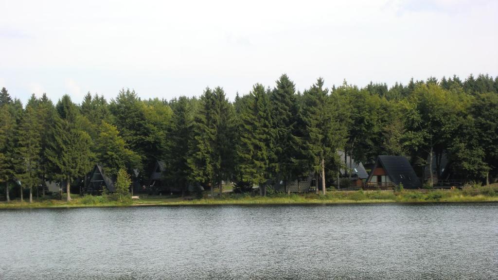 Waldsee Feriendienst 'Ferienpark Am Waldsee' Клаусталь-Целлерфельд Екстер'єр фото