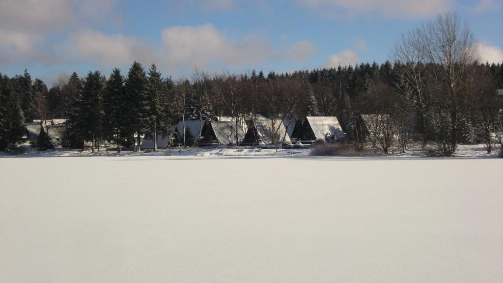 Waldsee Feriendienst 'Ferienpark Am Waldsee' Клаусталь-Целлерфельд Екстер'єр фото