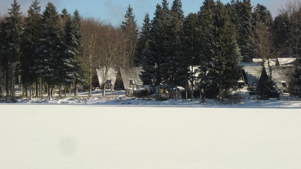 Waldsee Feriendienst 'Ferienpark Am Waldsee' Клаусталь-Целлерфельд Екстер'єр фото