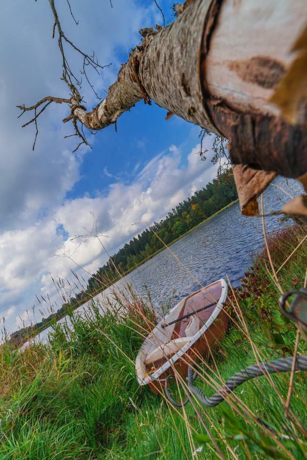 Waldsee Feriendienst 'Ferienpark Am Waldsee' Клаусталь-Целлерфельд Екстер'єр фото