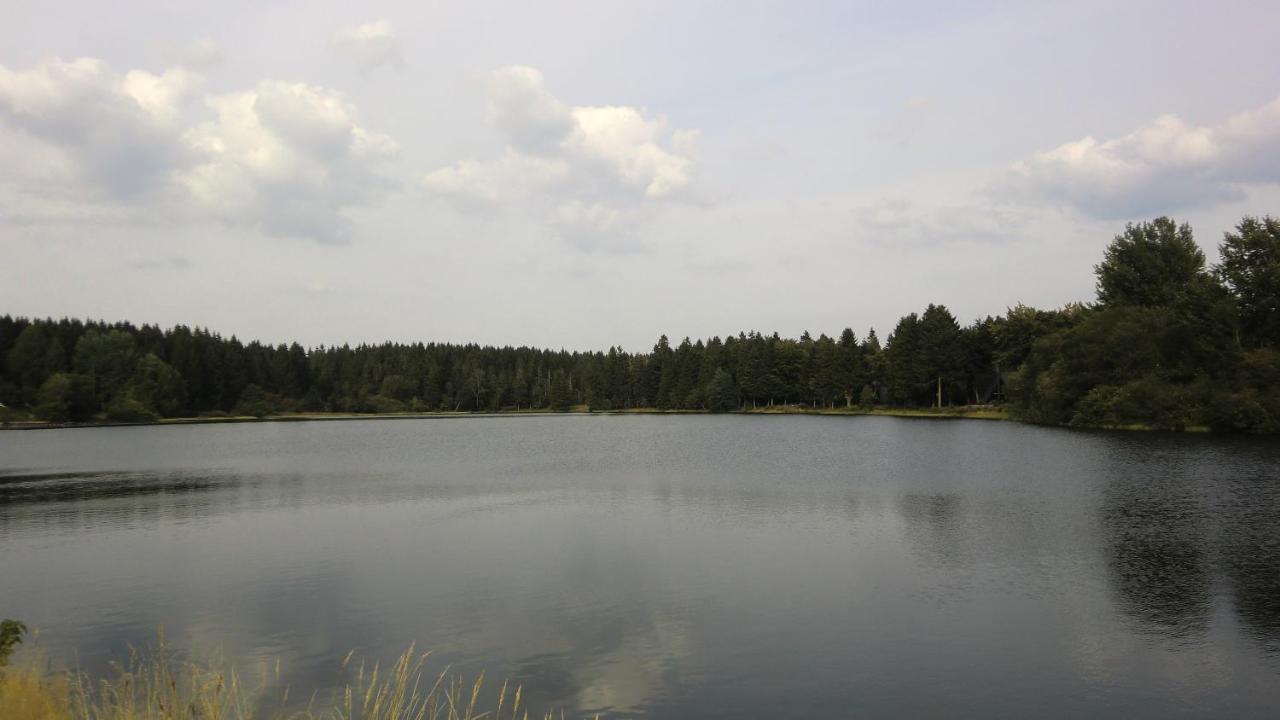 Waldsee Feriendienst 'Ferienpark Am Waldsee' Клаусталь-Целлерфельд Номер фото